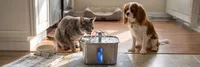 img of Veken Stainless Pet Water Fountain Review: 108oz, Award-Winning, 16K+ Fans