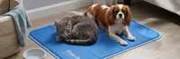 img of Green Pet Shop Cool Pet Pad Review: No-Power Cooling for Dogs & Cats