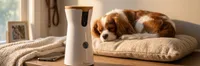 img of Furbo 360° Dog Camera Review: What 6,000+ Pet Parents Actually Say