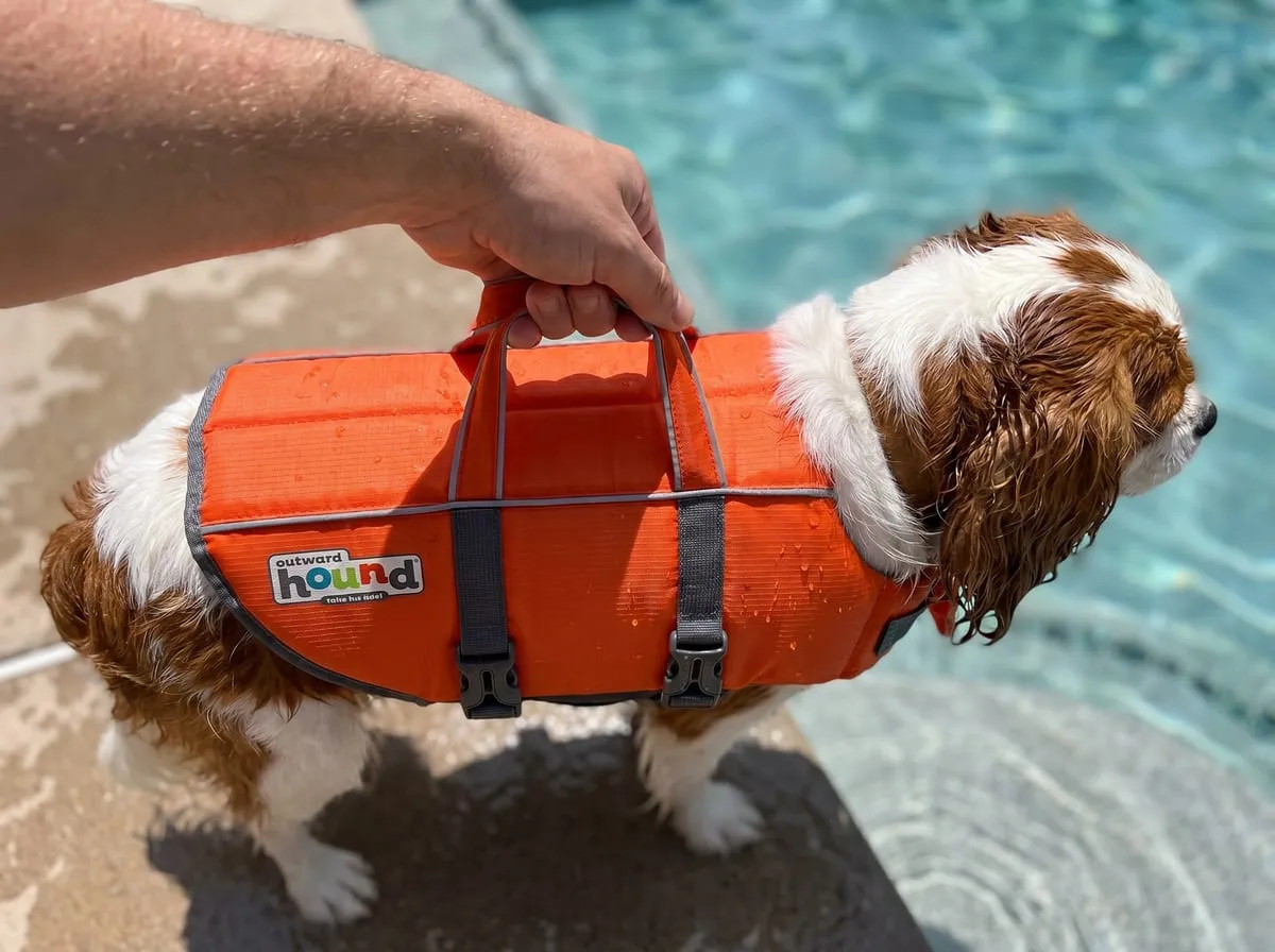 Overhead view of the two top grab handles on the orange Outward Hound Granby Splash dog life jacket with a hand gripping one handle poolside