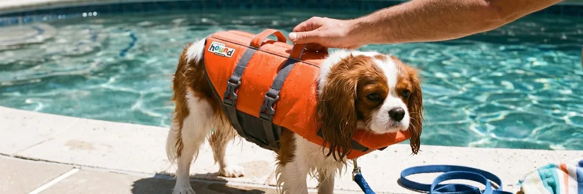 img of Outward Hound Granby Splash Life Jacket Review: What 42K+ Owners Say